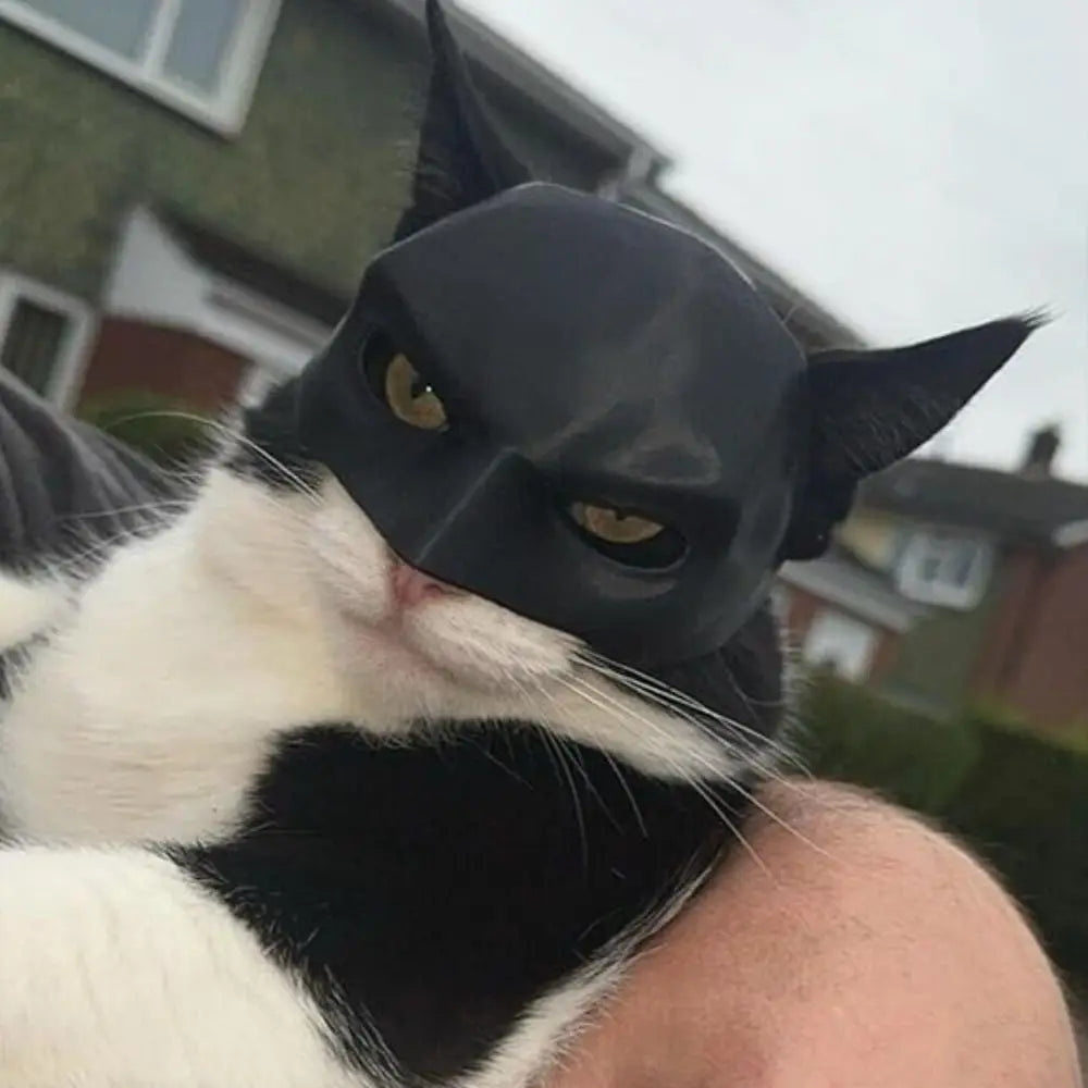 Bat Cat Avenger Mask