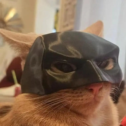 Bat Cat Avenger Mask